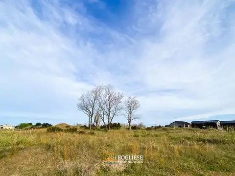 Barrio Privado El Salvaje