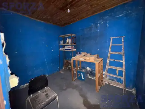 Joaquin V Gonzalez  al 1800