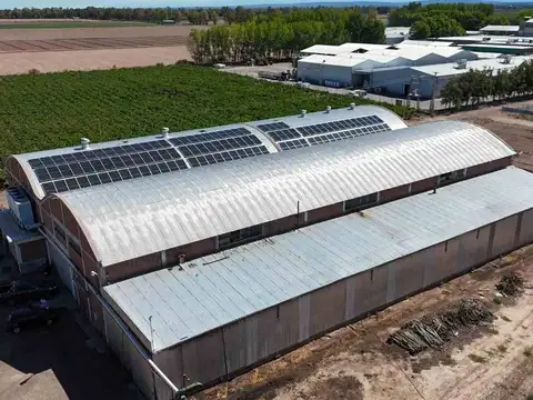 BODEGA PRODUCTIVA CON VIÑEDOS EN VENTA MENDOZA