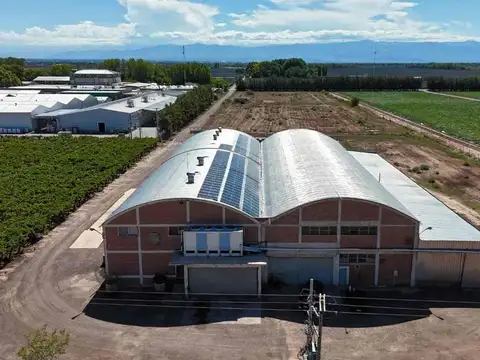 BODEGA PRODUCTIVA CON VIÑEDOS EN VENTA MENDOZA
