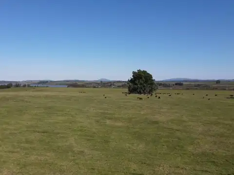 Ruta 12, km 14