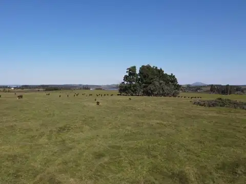 Quinta - Venta - Uruguay, Maldonado