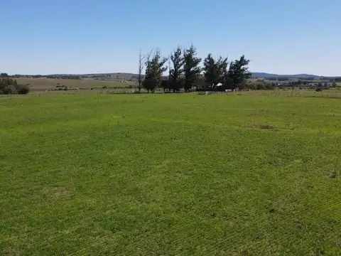 Ruta 12, km 14