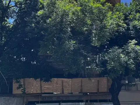 Atanasio Girardot 1300