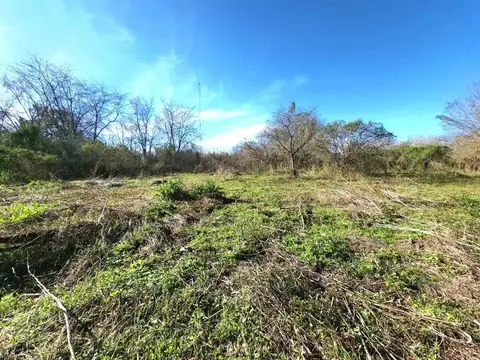 BENAVIDEZ LOTE EN VENTA 