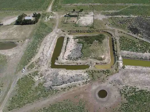 SE VENDE CAMPO,ALTAMENTE PRODUCTIVO.