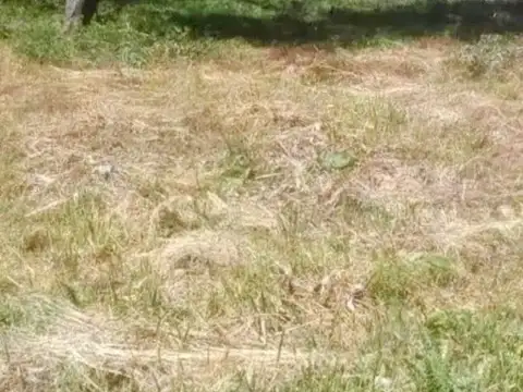 Terreno en Venta 20  mts Fondo