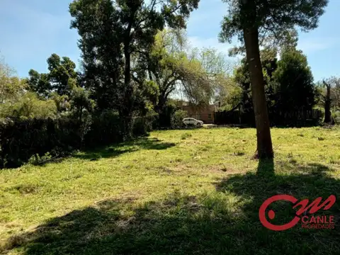 Cazador, Parravacini 100