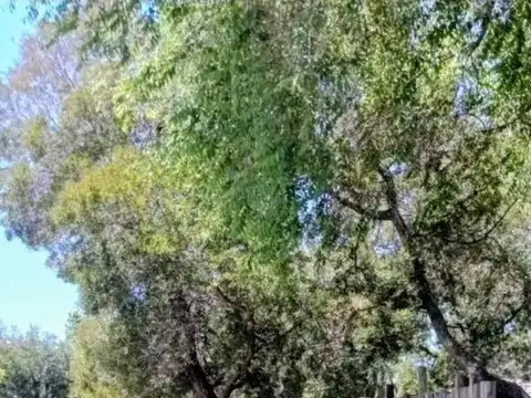 Lote en venta de 1000m2 ubicado en El Cazador