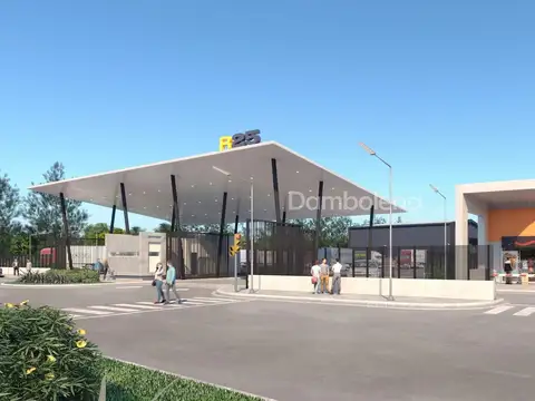 Ruta Provincial N° 25 4100