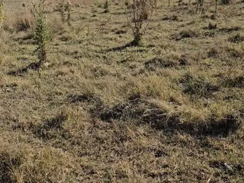 Terreno en Venta en Domselaar, USD 25.000