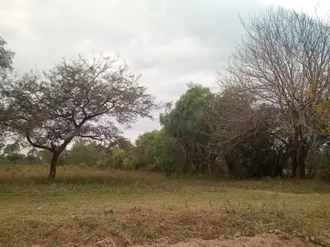 Pedro Martínez 2100
