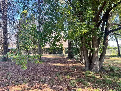 Terreno en Venta en Almahue, USD 129.000