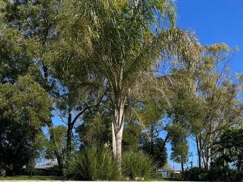 Alquiler temporario Estancia con laguna privada en Lezama