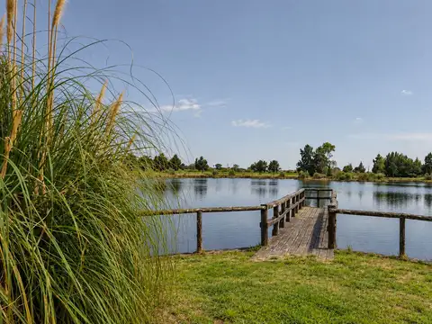 A Del Valle 1300
