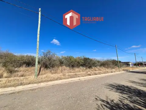 Terreno en La Arbolada
