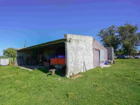Venta Chacra en Los Cerrillos c/ galpones y mangas