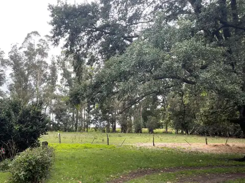 Base área