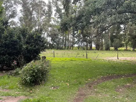 Base área