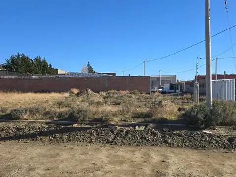 TERRENO/ Cordón Forestal