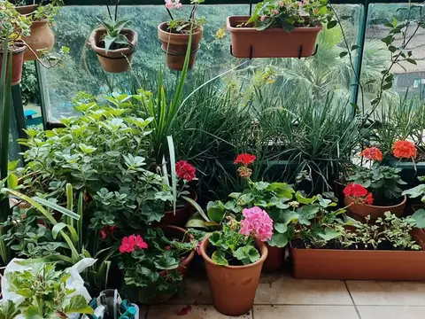 Departamento  en Alquiler en Riverside Towers, Tigre, G.B.A. Zona Norte