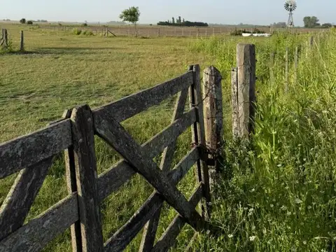 Camino Vecinal Del Yameo