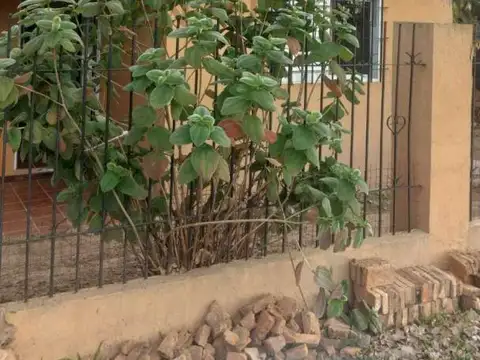 Quinta en Venta en Arroyo Leyes, USD 57.000