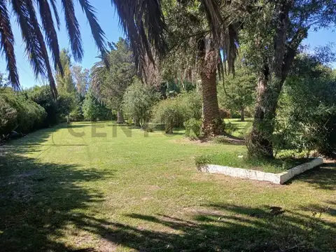 Quinta en Venta en Lisandro Olmos Etcheverry, USD 750.000