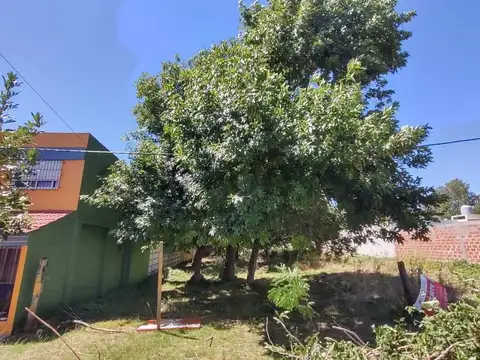 Terreno en Venta en San Carlos, USD 40.000