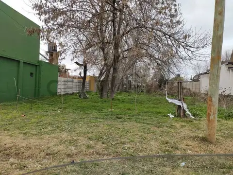 47 e/ 148 y 149 , Piso 0