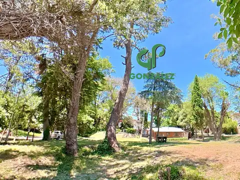 Casa en zona norte con gran terreno