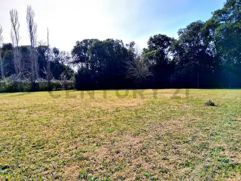 Terreno en Venta 33,75  mts Fondo