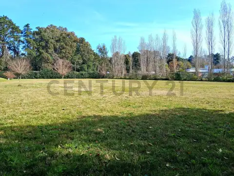 Terreno en Venta en Villa Elvira, USD 30.000