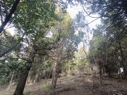Terreno en Venta de 2381,0 m2