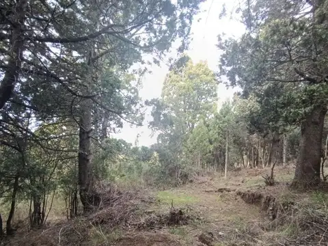 Lote en venta en Bariloche