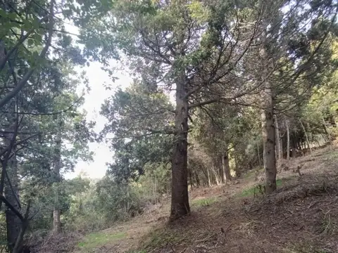 Terreno en Venta en San Carlos de Bariloche, USD 60.000