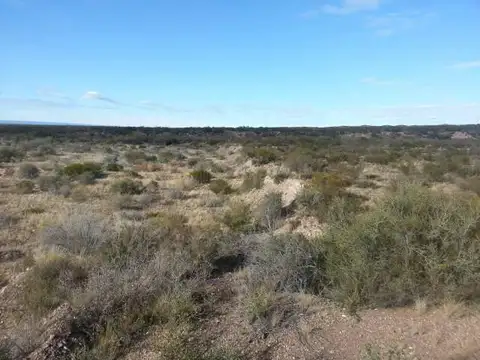 Ugarteche - mts Picada a Tupungato