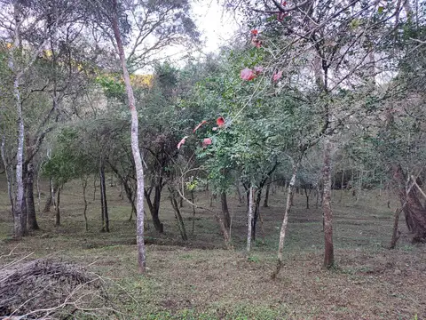 Terreno en Venta en La Misión