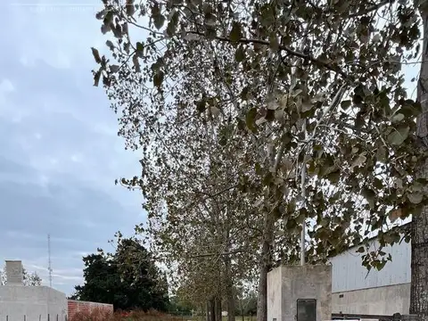 VENTA - TERRENO  + GALPON - San Pedro (Bs.As)