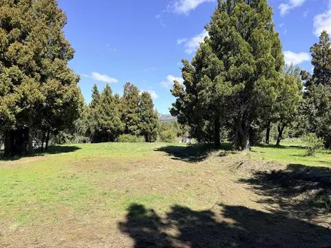 Casa en venta - Bosque nativo - Trevelin