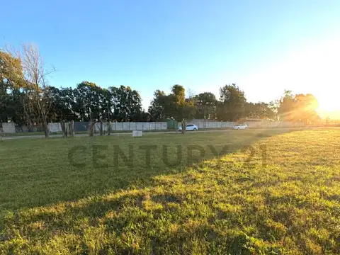 Matheu 1400, Piso 0