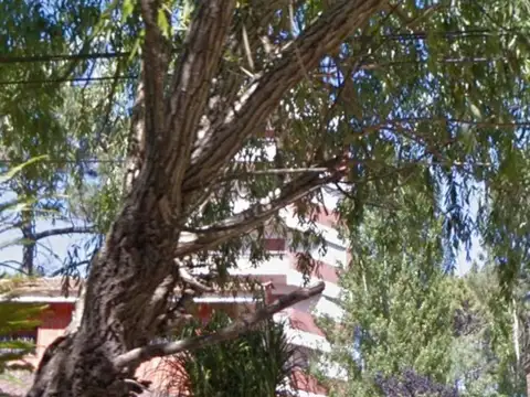 VENTA INMEDIATA DEPARTAMENTO EN VILLA GESSELL MONOAMBIENTE A 70 MTS DEL MAR - FICHA 8949