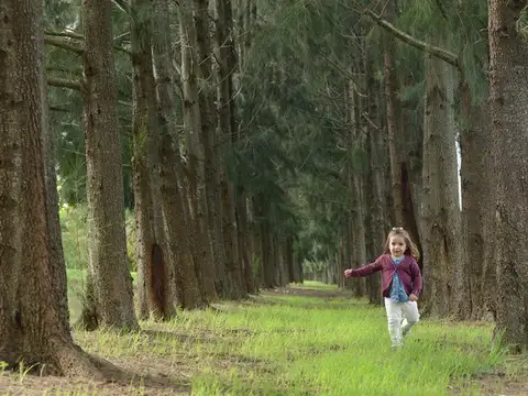 Terreno en Venta de 617,0 m2