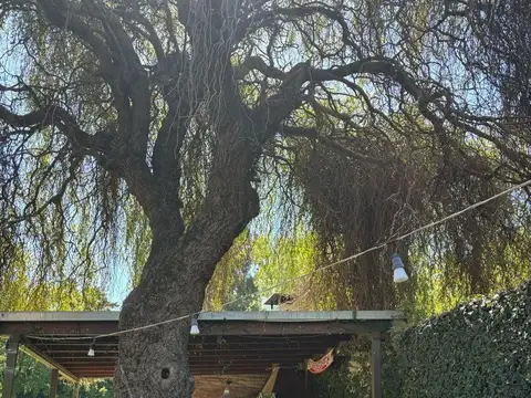 CASA SOBRE LOTE DE 18 POR 70 EN CITY BELL