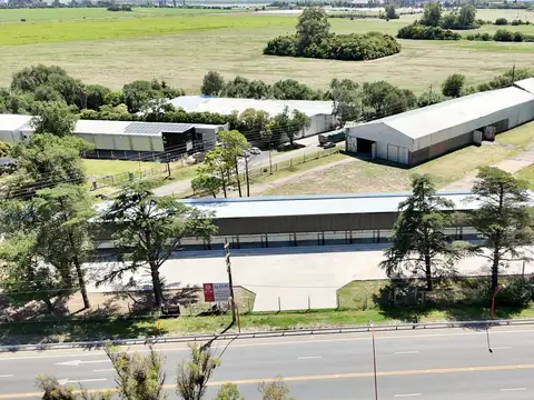 Galpón en Alquiler, Centro Logístico Alvear.