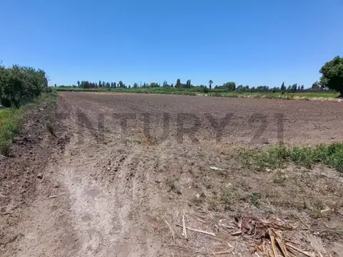 finca , rodeo de la cruz , km8