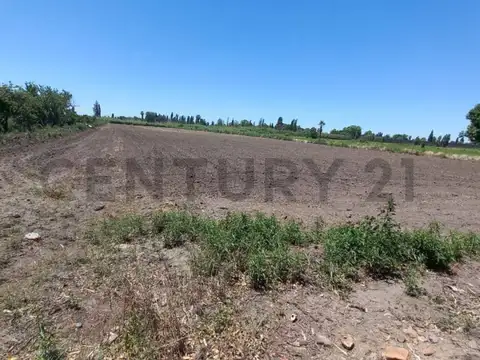 finca , rodeo de la cruz , km8