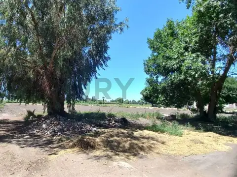 Callejón Escorihuela , Piso 0