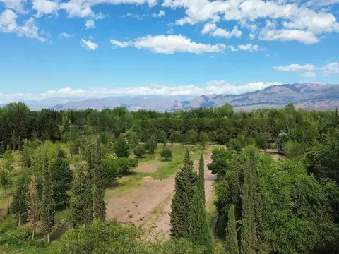 Terreno en Venta en Luján de Cuyo, USD 35.750