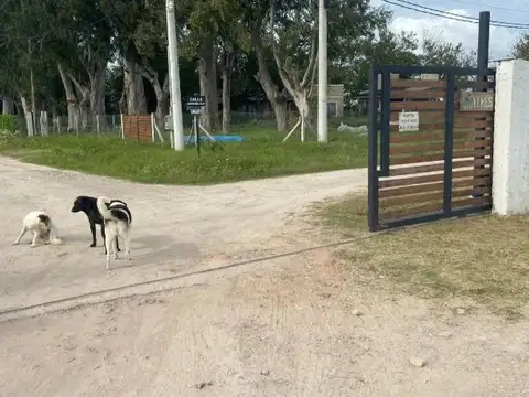 Terreno en venta - 1294mts2 - Arana